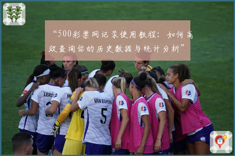 “500彩票网记录使用教程:如何高效查询你的历史数据与统计分析”