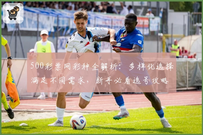 500彩票网彩种全解析：多样化选择满足不同需求，新手必看选号攻略