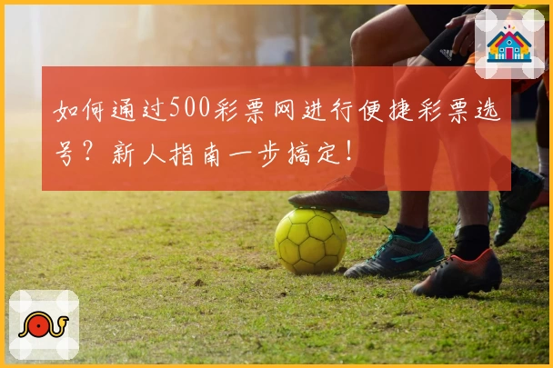 如何通过500彩票网进行便捷彩票选号？新人指南一步搞定！