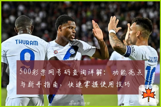 500彩票网号码查询详解：功能亮点与新手指南，快速掌握使用技巧