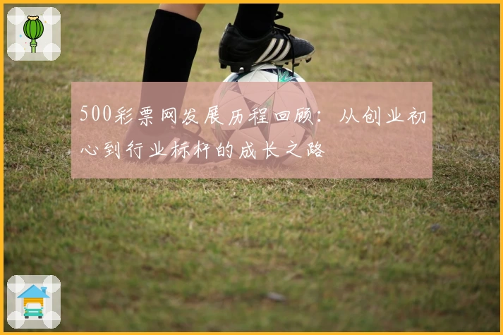 500彩票网发展历程回顾：从创业初心到行业标杆的成长之路