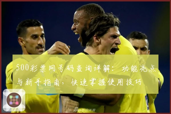 500彩票网号码查询详解：功能亮点与新手指南，快速掌握使用技巧
