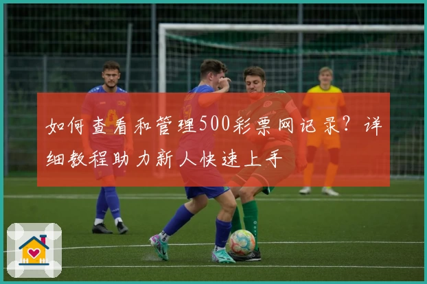 如何查看和管理500彩票网记录？详细教程助力新人快速上手