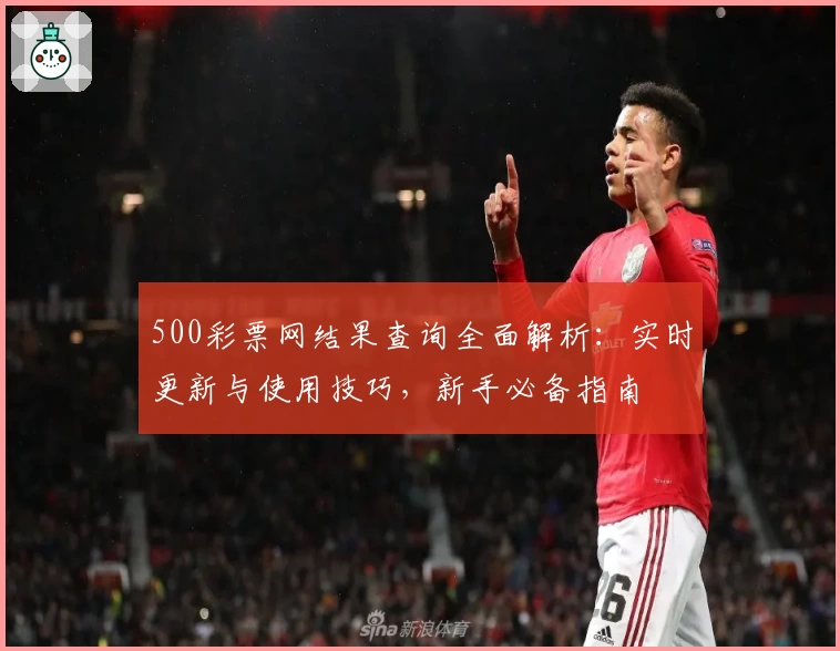 500彩票网结果查询全面解析：实时更新与使用技巧，新手必备指南