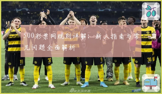 500彩票网规则详解：新人指南与常见问题全面解析